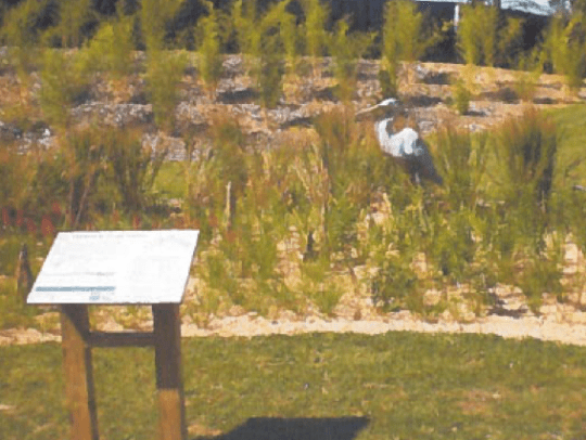 screen-shot-2016-11-17-at-2-02-27-pm