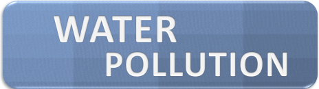 Screen Shot 2018-11-01 at 1.21.16 PM