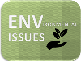 Screen Shot 2018-11-01 at 6.18.27 PM