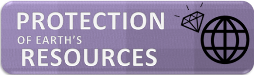 Screen Shot 2018-11-02 at 10.34.03 AM